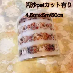 海外マスキングテープ巻売り 秋果 装飾マステ petテープ