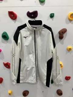 季節違いSALE MIZUNO テニス トレーニングウェア 長袖のサムネイル