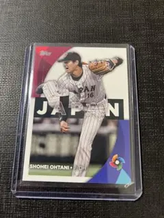 使用済チケット】2026 WBC 東京ドーム コレクション用 天覧試合 - メルカリ