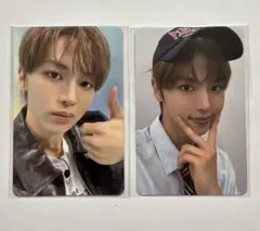 キムイヌ　イヌ　インフ　トレカ