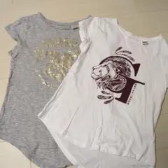 ハリー・ポッター　グリフィンドール・ホグワーツTシャツ2枚セット　H&M