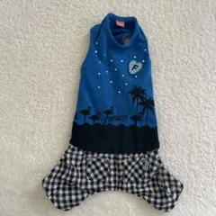 Item thumbnail for item 20f62147-5d85-4455-b4ea-9664568834d9