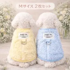 Item thumbnail for item aca2ece6-d68b-4703-a4f2-50392c6bc8b9