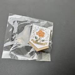 NAOTO　メタルピンバッジ 　第二弾 　KINGDOM　三代目　会場　ガチャ