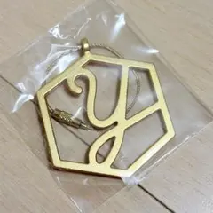 KEYUKA ケユカ イニシャルチャーム Y ゴールド
