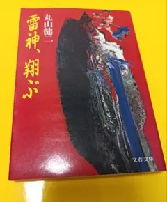 2026年最新】丸山健二の人気アイテム - メルカリ
