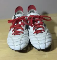 MIZUNO モレリアネオ ホワイト×レッドのサムネイル