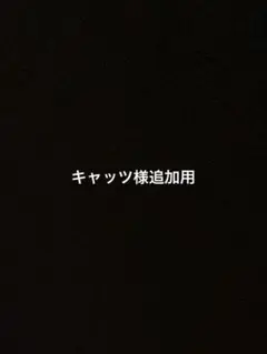 キャッツ様追加用