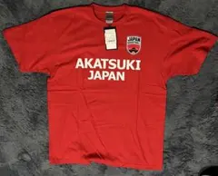 Item thumbnail for item ee273ad6-10c8-4ab0-b2f7-314841950b5a