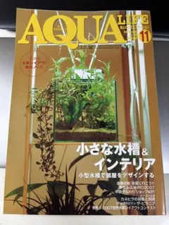 アクアライフ　まとめ売り 月刊アクアライフ 2024年 12 月号 30cmキューブ水槽 [雑誌