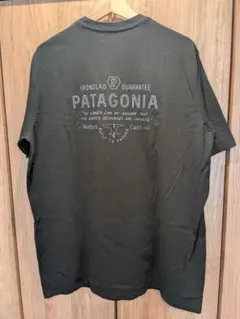 パタゴニア レスポンシビリティー① Tシャツ