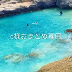 Cat.me様 おまとめ専用 パッチワークバッグ4点