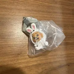 stray kids SKZOO つまんでつなげてマスコット2