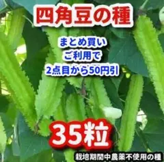 ICHI様 リクエスト 2点 まとめ商品 - メルカリ