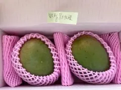 5訳あり沖縄産キーツマンゴー 2玉（約1.8kg）のサムネイル