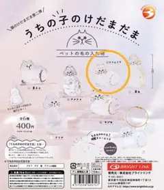 うちの子のけだまだま　猫のけだまだま第二弾 シャムトラ