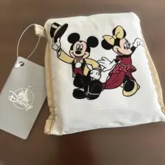 ディズニーストア 東京ディズニーリゾート店25周年記念 エコバッグのサムネイル