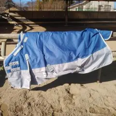 Item thumbnail for item 51537684-2cc9-403f-bb1d-737462211134