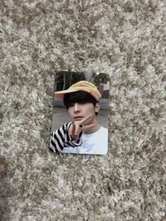 seventeen セブチ　ヘンガレトレカ　ウォヌ