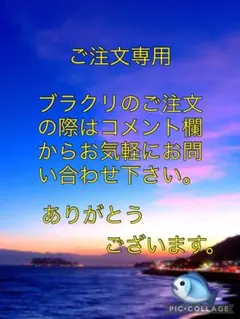 Item thumbnail for item 4a2c9434-e620-4467-9d77-c56f80ca26fe