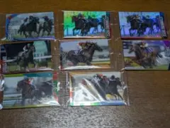 サラブレッドホースコレクション ウエハース スタニングローズ サイン