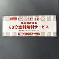 2026年最新】ビックエコーの人気アイテム - メルカリ