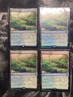 2026年最新】吹きさらしの荒野 foilの人気アイテム - メルカリ