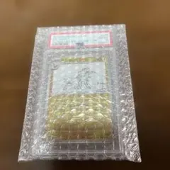 2026年最新】Nagaba サンダース psa10の人気アイテム - メルカリ