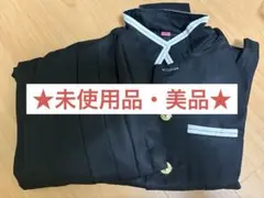 【大幅お値下げ！】鬼滅の刃 胡蝶しのぶ コスプレ 衣装