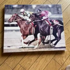 競馬　マヤノトップガン　ナリタブライアン　阪神大賞典