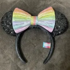 【即購入可】限定品 ディズニー 40周年 記念 カチューシャ