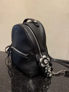 FENDI ブラックレザーバックパックお花ビジューのサムネイル