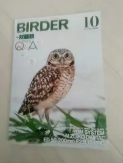 BIRDER2025.10最新号！