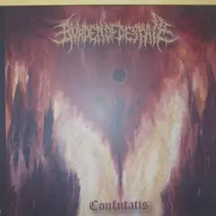 BURDEN OF DESPAIR / Confutatis