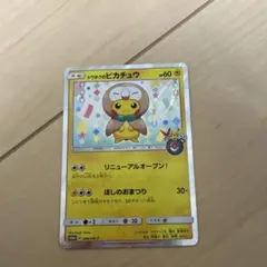 トウホクのピカチュウ 088