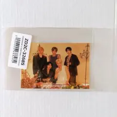 TXT 公式 シーグリ 2026 ユニバ 購入特典 ステッカー