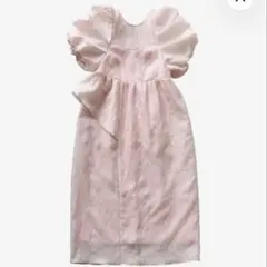 ANDRESD バブルスリーブジャガードドレス