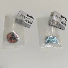 ハイキュー　高校モチーフピンバッジ　烏野　青葉城西　セット