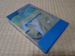 ＰＧ・ブリーフ