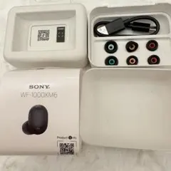 【未使用・純正】SONY WF-1000XM6 箱・イヤーピース・USBケーブルのサムネイル