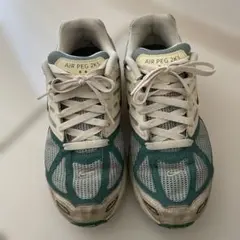 NIKE エアペガサス 2k5 24センチ