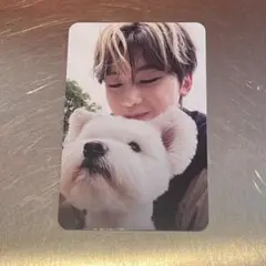 zb1 ゼベワン digipack 封入 犬 レオ トレカ デジパック メテュ