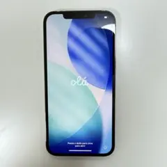 iPhone 12 Pro Max 256GB