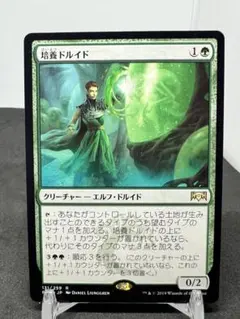 [Free] [JP] 培養ドルイド