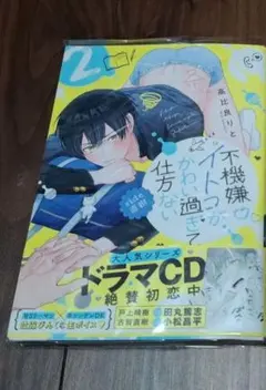 不機嫌イトコがかわい過ぎて仕方ない 2巻のみ