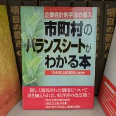 市町村のバランスシートがわかる本 : 企業会計的手法の導入