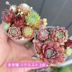 まき様 リクエスト 2点 まとめ商品