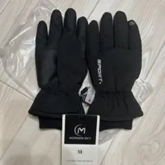 SPORT ウィンタースポーツ用グローブ ブラック　手袋　3M