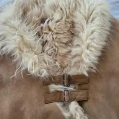 Item thumbnail for item f2b68d08-25e4-4448-9676-6cca9e42a6c0