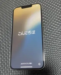【美品】Apple iPhone 13 Pro 256GB 本体 シルバー
